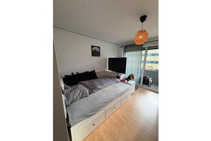 Vollmöblierte 1-Zimmerwohnung Jul 2026 -Feb 2027 - Regensburg Brandlberg