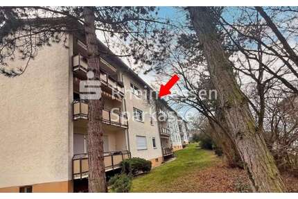 Wohnung zum Kaufen in Wörrstadt 199.000,00 € 68 m²