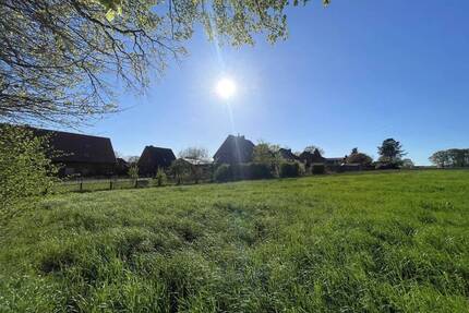 Grüne Umgebung - Haltern-Lippramsdorf - Haltern am See / Lippramsdorf