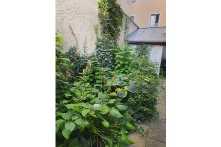 Zwei denkmalgeschützte Wohn- und Geschäftshäuser in der Altstadt - Regensburg Kumpfmühl