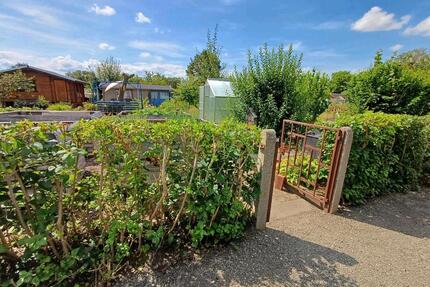 Kleingarten abzugeben - 500,00&nbsp;EUR Kaltmiete, ca.&nbsp; 0,00&nbsp;m&sup2; in Zwickau (PLZ: 08056)