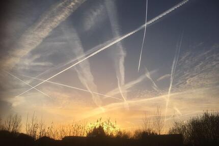 WohngemeinschaftFrauen-WG in ruhigem Speckgürtel von Wiedenbrück - Rheda-Wiedenbrück