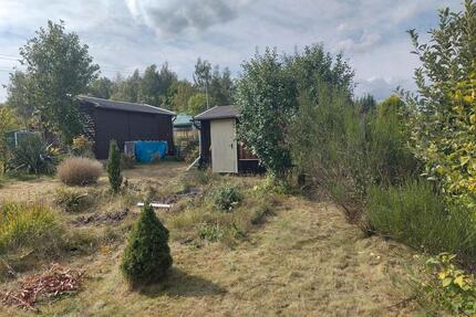 Kleingarten in KGV Reichsbahn - Wohlfahrt e.V. - Chemnitz Hilbersdorf