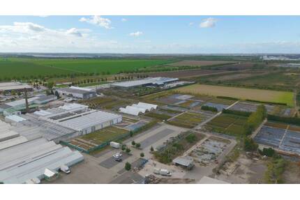 SO Gewerbegrundstück an der B184 mit Sondernutzungsrecht in Delitzsch zu verkaufen.