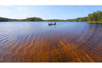 Ferienhaus mit Motorboot in Schweden - Springe