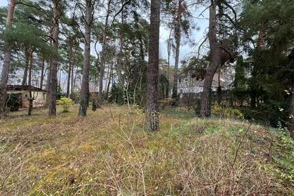 Grundstück zu verkaufen in Blankenfelde-Mahlow 220.000,00 € 836 m²