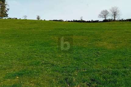 Grundstück zu verkaufen in Burbach 90.000,00 € 2000 m²