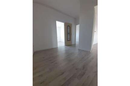 Wohnung zum Mieten in Dresden 418,00 € 64.27 m²