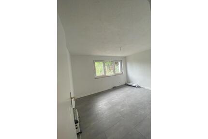Wohnung mit zwei Räumen in einem neu kernsaniertem Haus in PF - Pforzheim