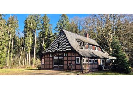 Alleinlage mit traumhaftem Waldgrundstück: Historisches Fachwerkhaus mit separatem Bungalow - Hemsbünde Hassel
