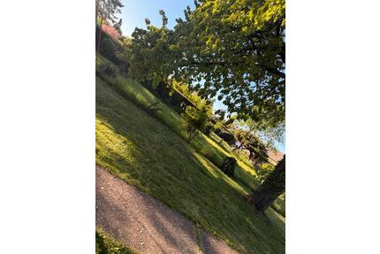 Schrebergarten - 220,00&nbsp;EUR Kaltmiete, ca.&nbsp; 0,00&nbsp;m&sup2; in Düren (PLZ: 52353) Mariaweiler-Hoven