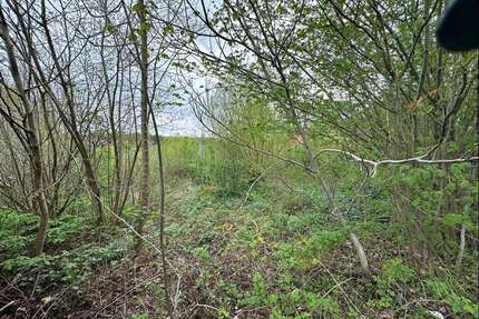 Grundstück zu verkaufen in Menden 149.500,00 € 1995 m²