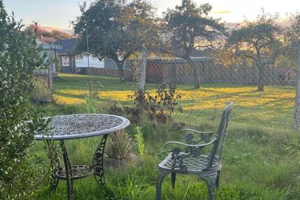 Ferienhaus am Bostalsee - freistehend, ruhig, Garten, Hunde - Nonnweiler