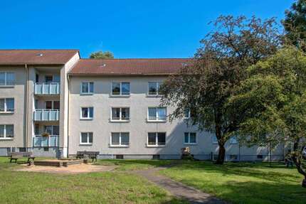 Wohnung zum Mieten in Castrop-Rauxel 459,00 € 61.73 m²