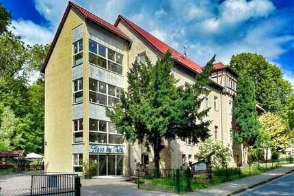 Haus zum Kaufen in Ballenstedt 410.678,00 € 1070 m²