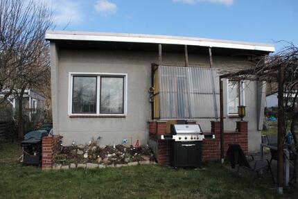 Kleingarten ca. 300m² KGV Lößnitz Aue e.V. Freiberg