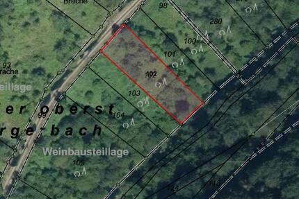 Weinbergsteillage in Reil (HLO 81-2)