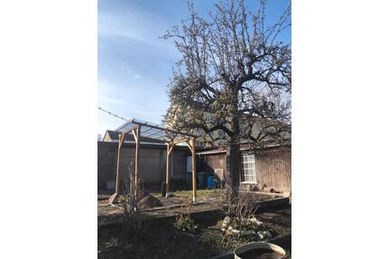 Kleingarten nahe Spree abzugeben (Gartensparte 8. Mai) - Cottbus Brunschwig