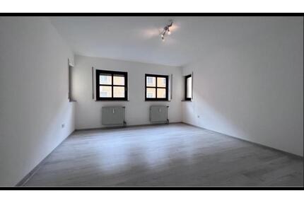 Kürzlich renovierte 2-Zi.-Wohnung, Nähe Fürth Hbf und Zentrum - Cadolzburg