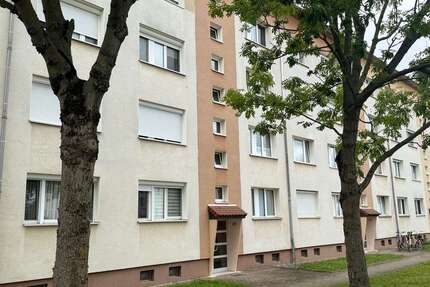 Wohnung zum Mieten in Zwenkau 767,00 € 59 m²