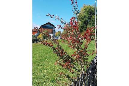 Vermietetes Hotelapartment mit Gartenzugang in Viechtach