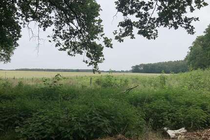 Grundstück in Schulzendorf 99.000,00 € 19700 m²