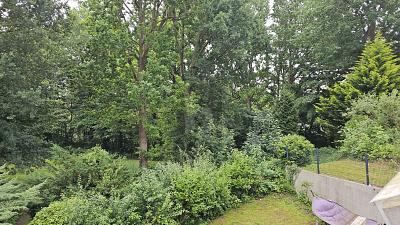 KLEIN ABER FEIN - FERIENVERMIETUNG AN DER OSTSEE - Sierksdorf