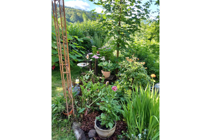 Ferienwohnung Nähe Nationalpark SchwarzwaldBadischer Jakobsweg - Bühl