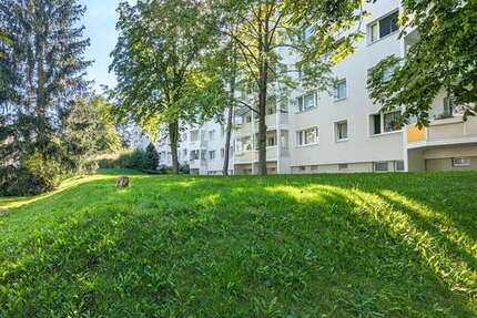Wohnung zum Mieten in Freiberg 325,00 € 50 m²
