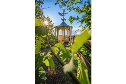 Ferienwohnung mit Balkon Rübeland Harz - Oberharz am Brocken