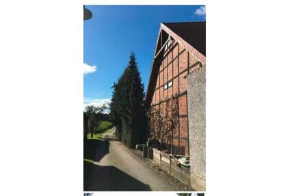 Kleiner Pferdehof - 299.000,00&nbsp;EUR Kaufpreis, ca.&nbsp; 255,00&nbsp;m&sup2; in Diesdorf (PLZ: 29413)