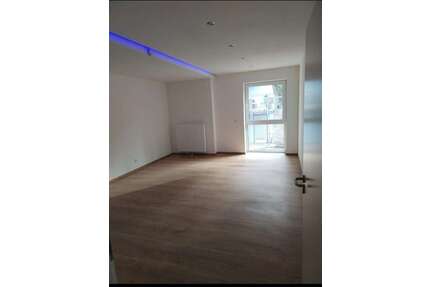 Wohnung zum Mieten in Kaiserslautern 2.250,00 € 220 m²