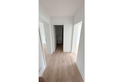 Frischer ein Zimmerwohnung zum vermieten - Pirmasens