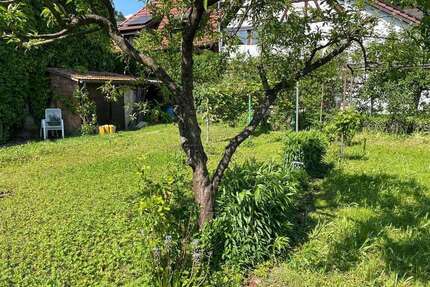 Grundstück zu verkaufen in Grenzach-Wyhlen 300.000,00 € 500 m²