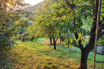 Garten mit Wasseranschluss in Untertürkheim zu verpachten - Stuttgart Feuerbach