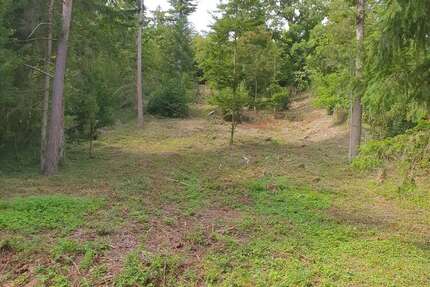 Grundstück zu verkaufen in Kieselbronn 39.900,00 € 2360 m²