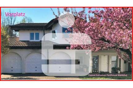 Wohnung zum Kaufen in Waldshut-Tiengen 849.000,00 € 288 m²