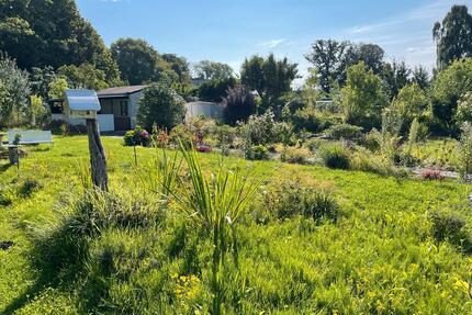 Gepflegter Kleingarten in Stralsund (KGV Stadion e.V.)