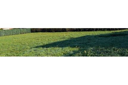 Traumgrundstück im Grünen! - 130.000,00&nbsp;EUR Kaufpreis, ca.&nbsp; 0,00&nbsp;m&sup2; in Dortmund (PLZ: 44329) Lanstrop