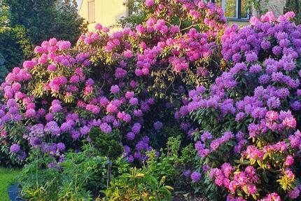 Doppelhaus mit 1220m² Grundstück Tiefgarage Klinkerfassade - Leipzig Lausen-Grünau