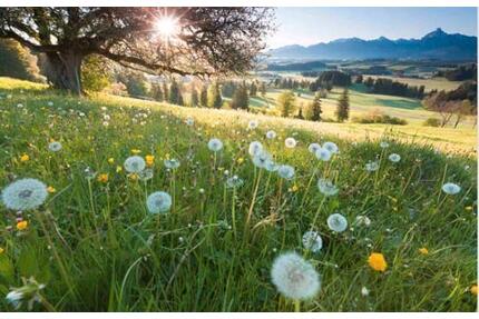 UNSER ZUHAUSE GESUCH - 850,00&nbsp;EUR Kaltmiete, ca.&nbsp; 65,00&nbsp;m&sup2; in Wickede (Ruhr) (PLZ: 58739)