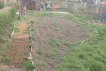 Schöner kleiner Pachtgarten abzugeben - Gotha