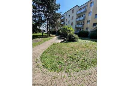 Wohnung zum Mieten in Ludwigshafen am Rhein 580,00 € 40 m²