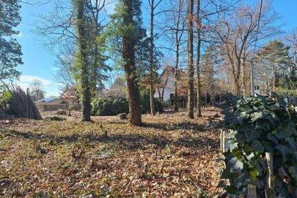Natur. Ruhe. Freiheit. Ihr Bauland in Machern.