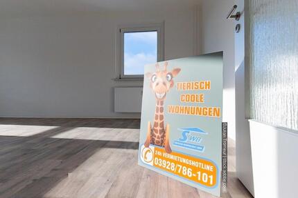 Moderne 2-Raum-Wohnung mit Aufzug und großzügigem Balkon zu vermieten. - Schönebeck (Elbe)