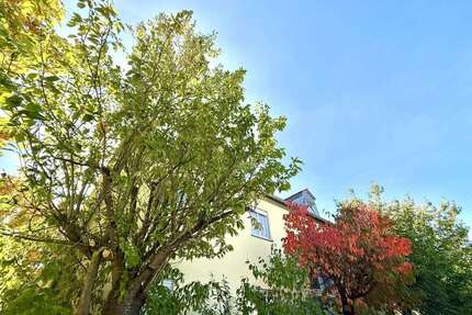 Wohnung zum Kaufen in Beratzhausen 139.000,00 € 43 m²