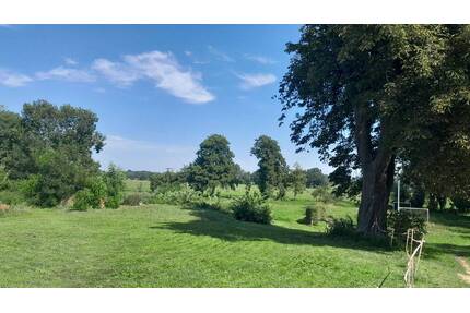 Baugrundstück mit weitem Blick über eine Wiese in Hakenberg - Fehrbellin Brunne