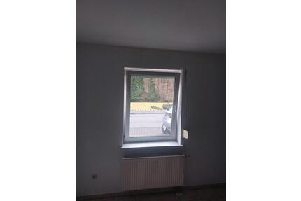 1-Zimmer-Wohnung (34 m²) in ruhiger Lage – Niederdreisbach - Steinebach/Sieg