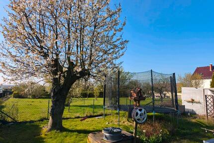Kleingarten im Kleingartenverein Auenblick 04435 Schkeuditz