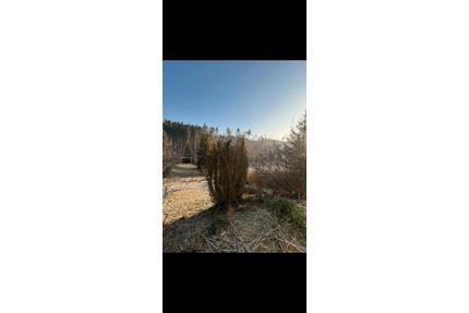 Pacht Garten mit Laube in ThalheimErzgebirge - Thalheim/Erzgebirge